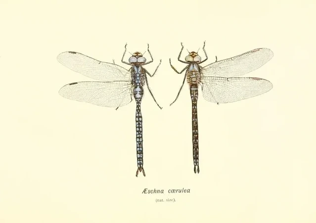 Artimuus 114