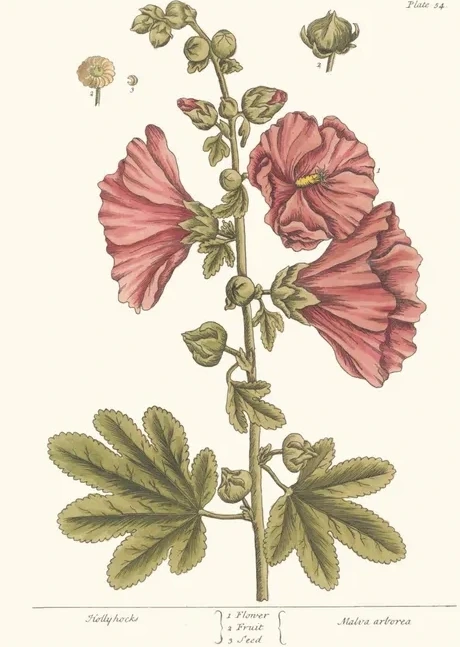 Artimuus 11