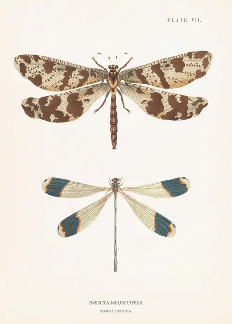 Artimuus 123