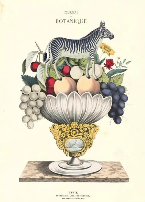 Artimuus 126