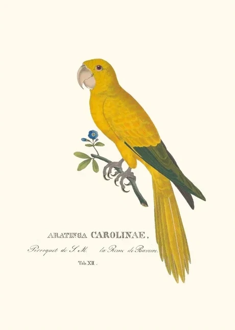 Artimuus 127