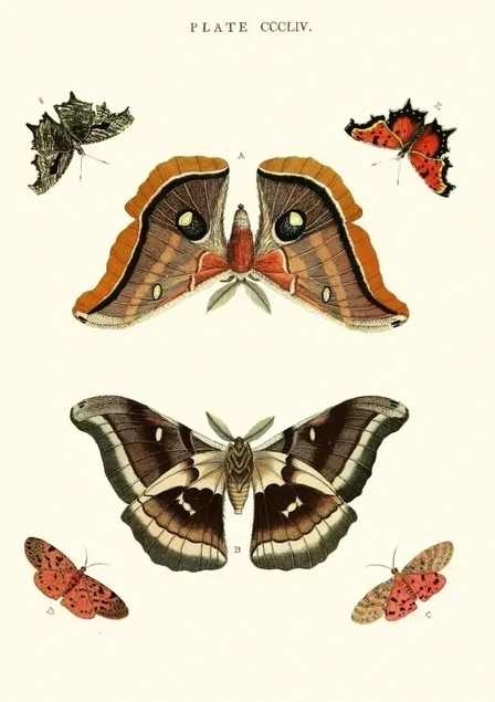 Artimuus 128