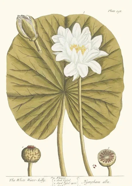 Artimuus 12
