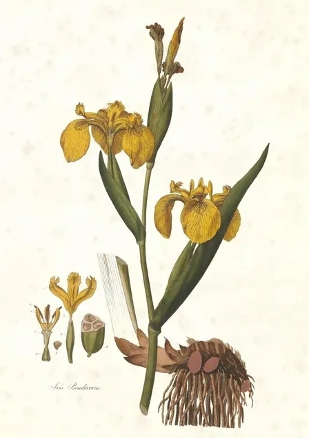 Artimuus 131
