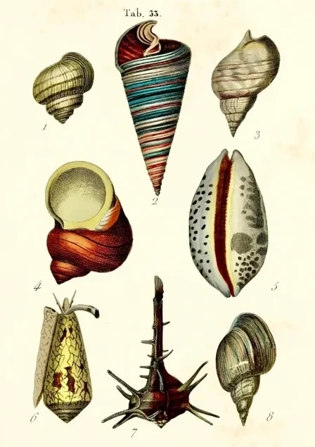 Artimuus 133