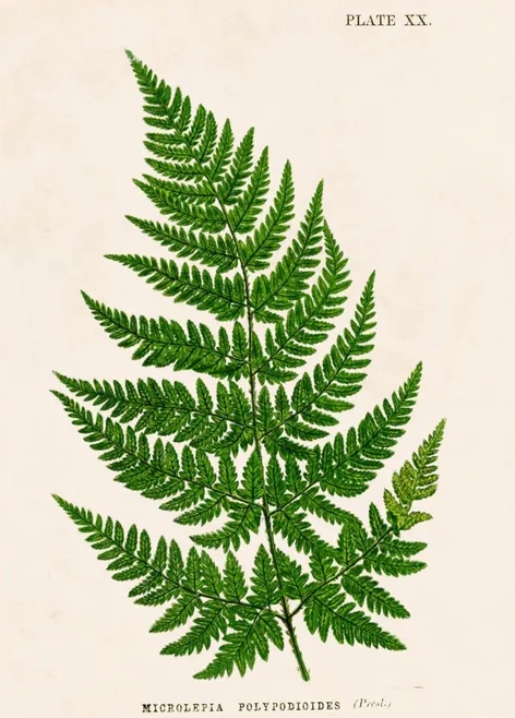 Artimuus 134