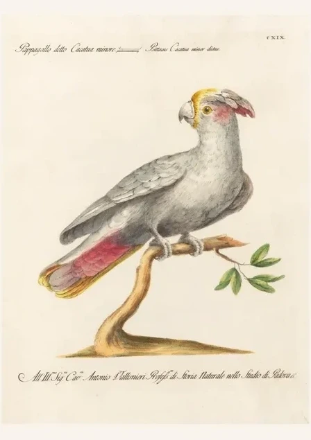 Artimuus 137