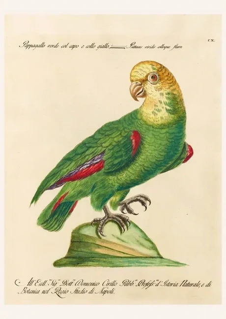 Artimuus 138