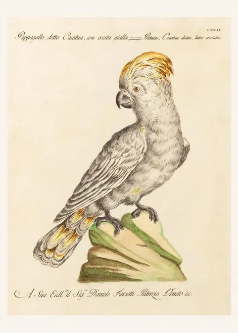 Artimuus 139