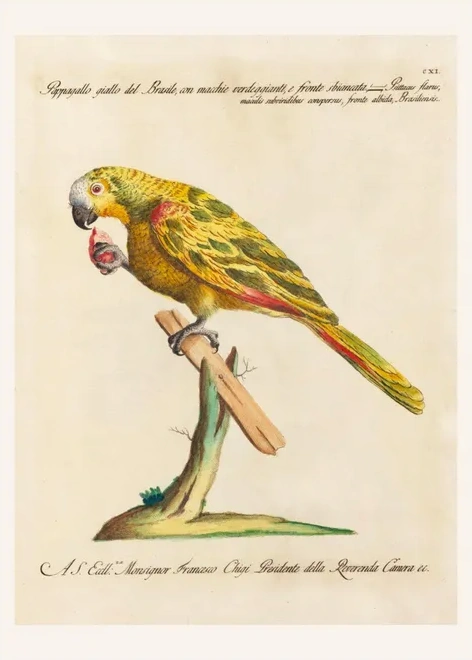 Artimuus 142