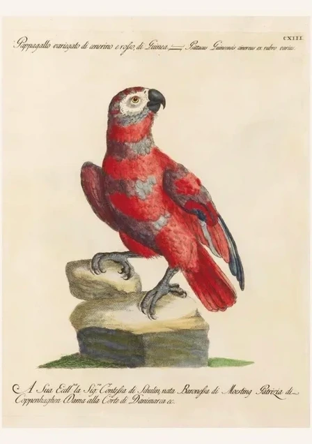 Artimuus 143