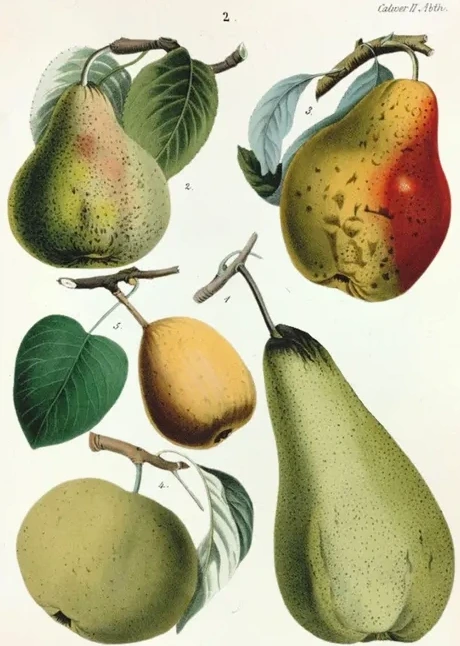 Artimuus 147