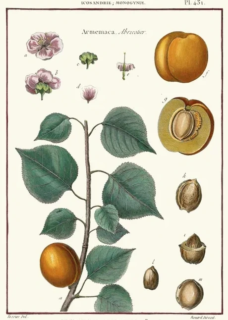 Artimuus 154