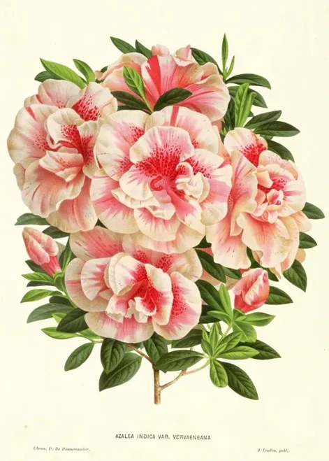 Artimuus 157