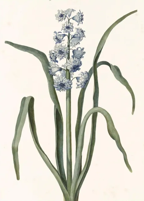 Artimuus 158