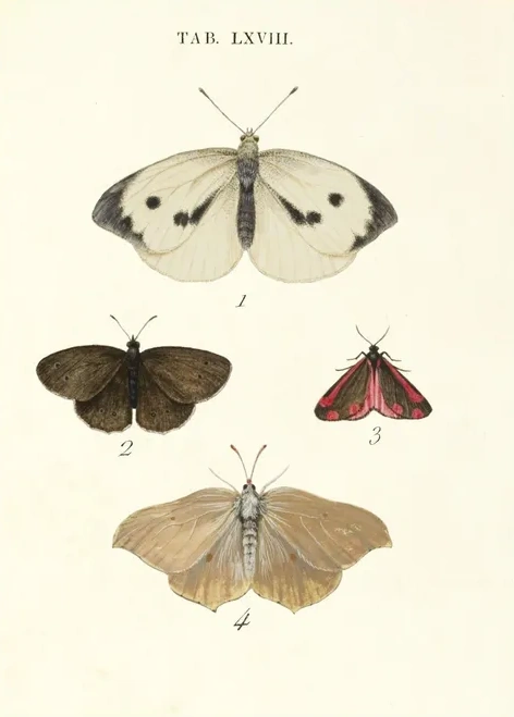 Artimuus 160