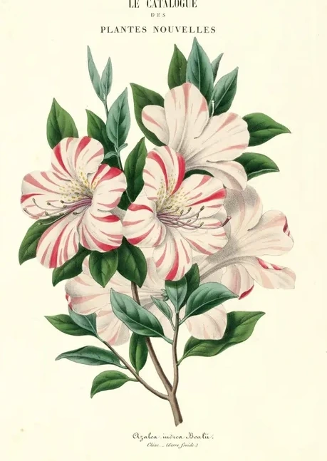 Artimuus 162