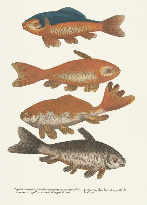 Artimuus 163