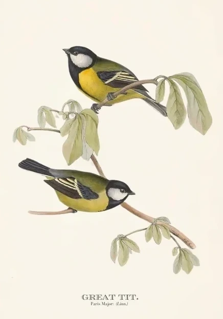 Artimuus 166