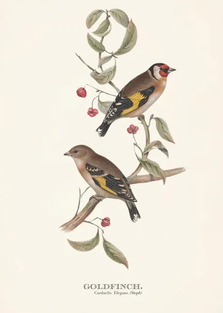 Artimuus 167