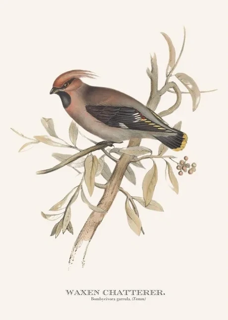 Artimuus 168