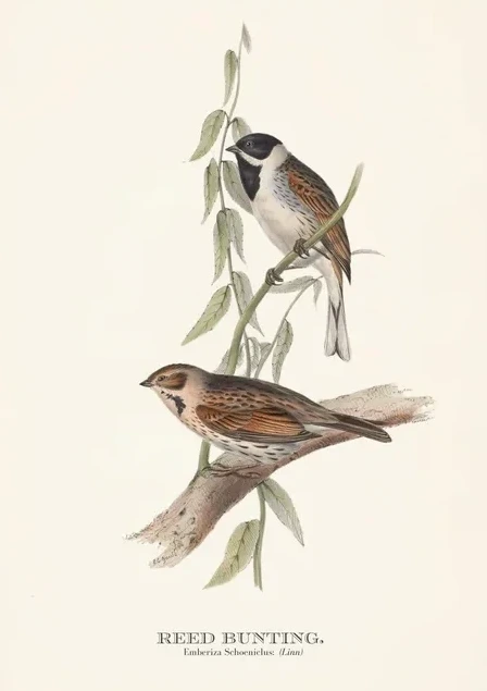 Artimuus 169