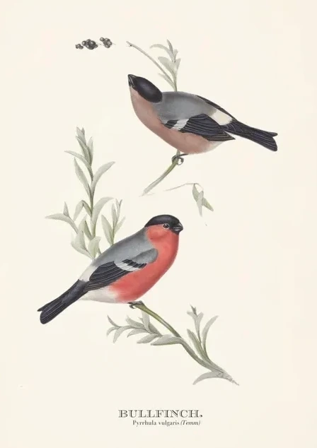 Artimuus 170