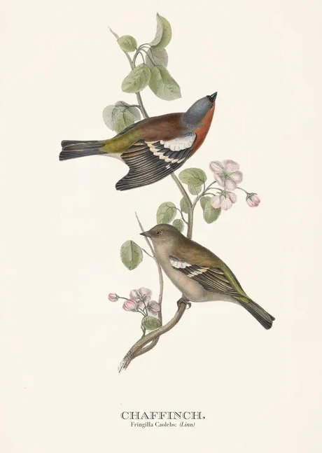 Artimuus 171