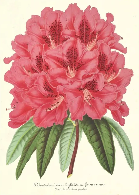 Artimuus 176