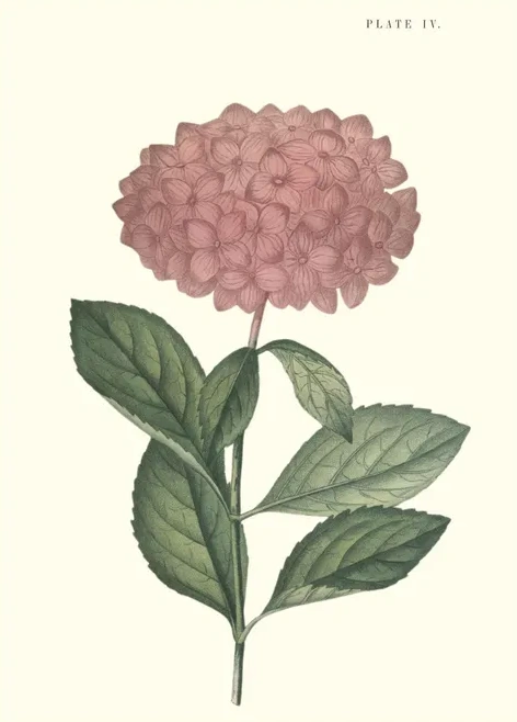 Artimuus 177