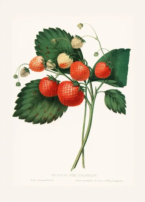Artimuus 179