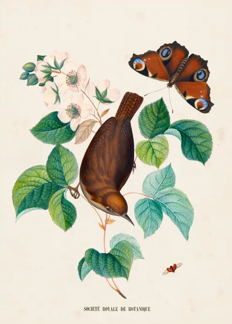 Artimuus 181