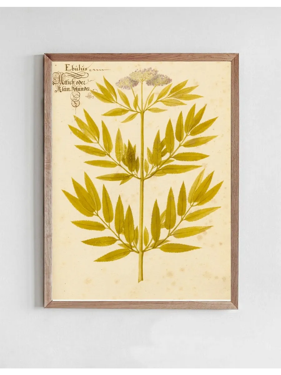 Artimuus 187