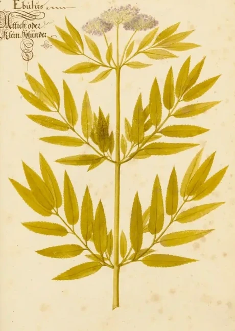 Artimuus 187
