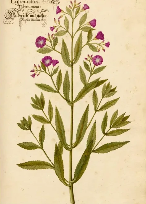 Artimuus 188