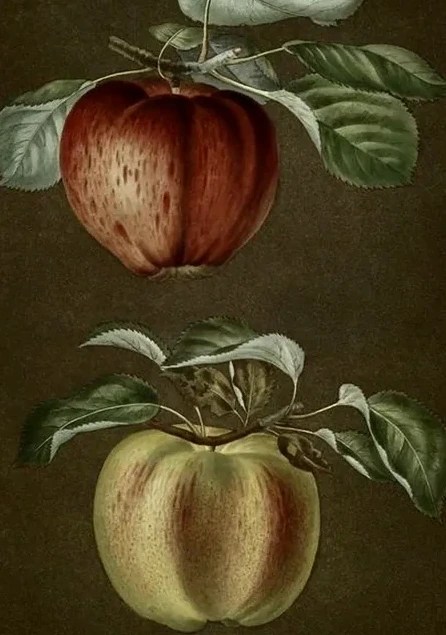 Artimuus 191