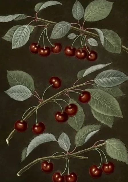 Artimuus 193