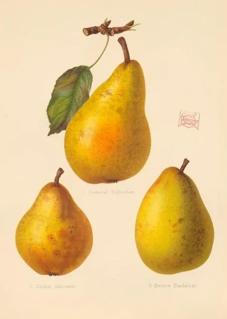 Artimuus 195
