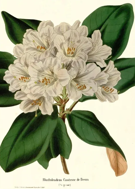 Artimuus 203