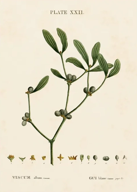 Artimuus 213