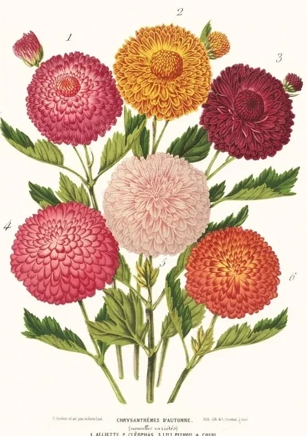 Artimuus 214