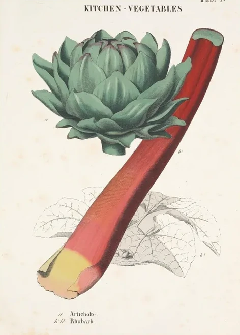 Artimuus 217