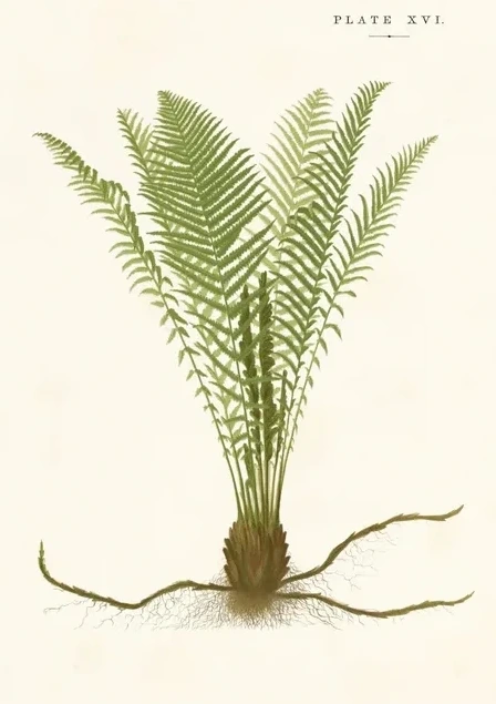 Artimuus 29