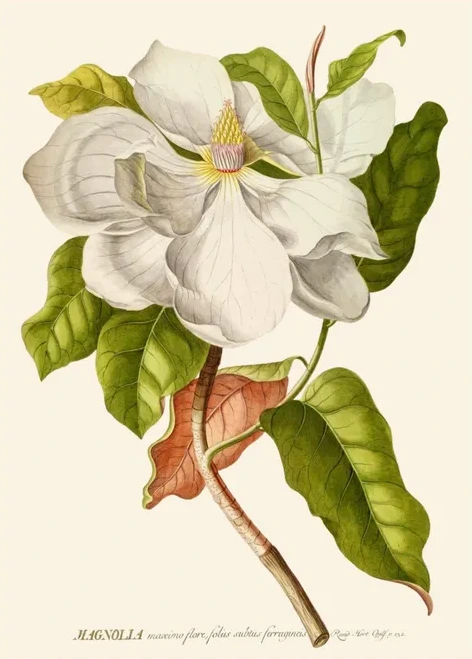 Artimuus 36