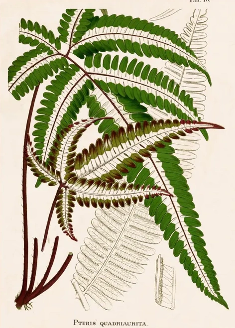Artimuus 42