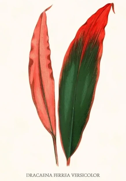 Artimuus 59
