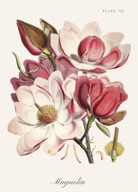Artimuus 63