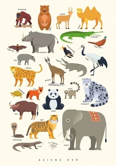 Asiens Dyr Borneplakat
