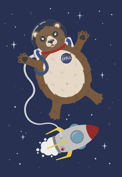 Astronaut Bj Rn