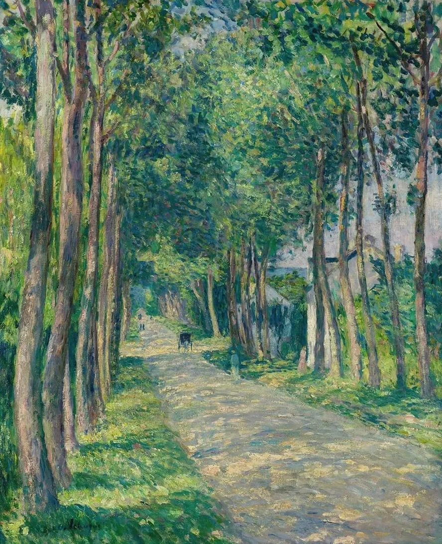 Attelage Sur Une Route Ensoleill e